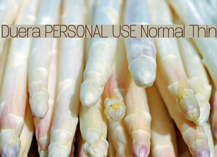 Duera PERSONAL USE Normal Thin Font examples