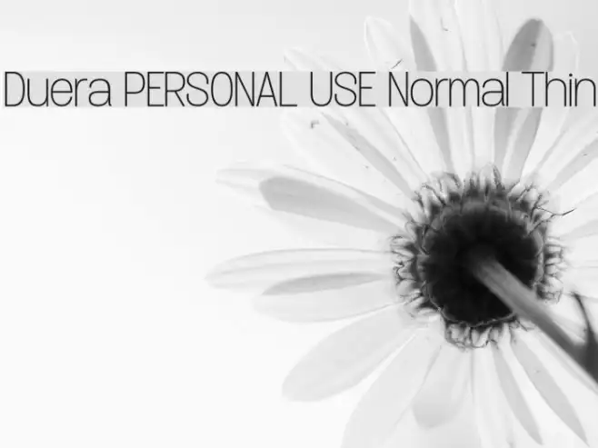 Duera PERSONAL USE Normal Thin Example 2