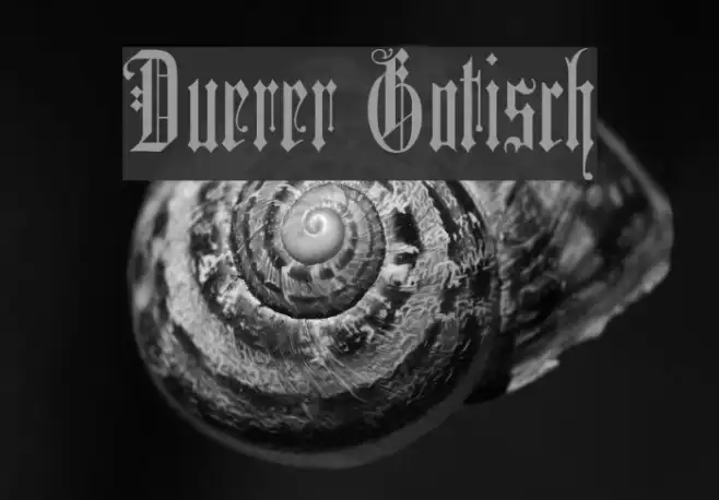Duerer Gotisch Example 1