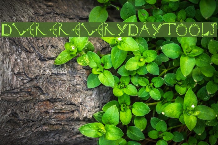 DuererEverydayTools Font examples