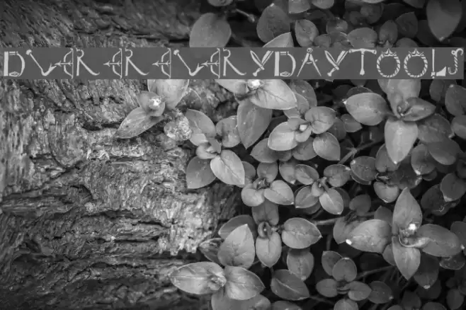 DuererEverydayTools Font examples