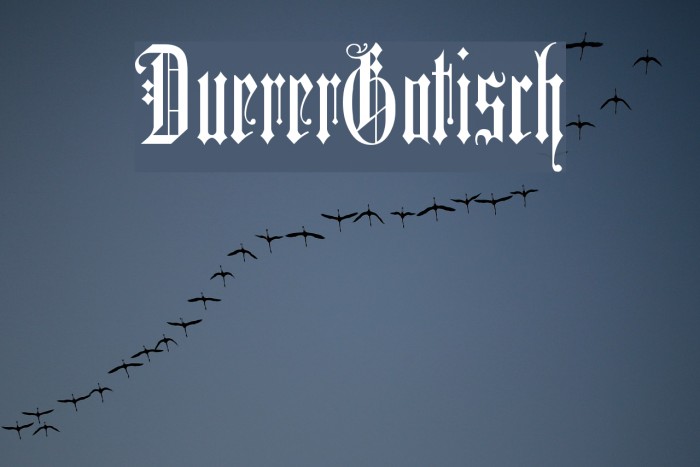 DuererGotisch Font examples