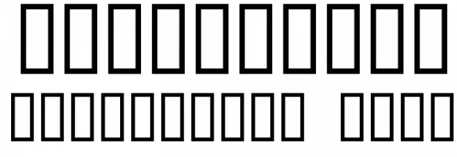 DuererLatinCapitals フォント その他の文字