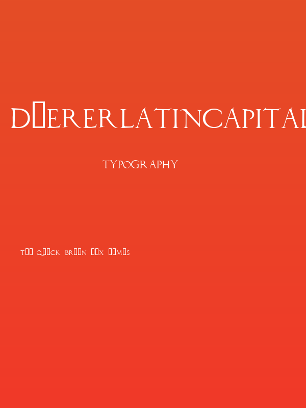 DuererLatinCapitals Poster