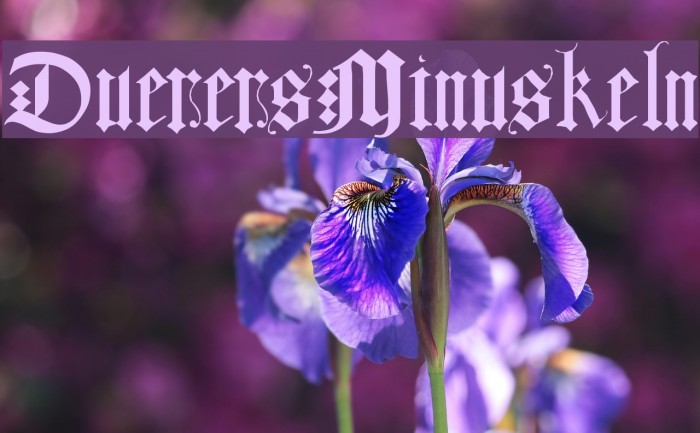 DuerersMinuskeln Font examples