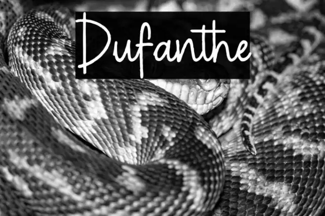 Dufanthe Example 1