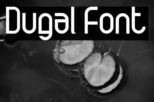 Dugal Example 3