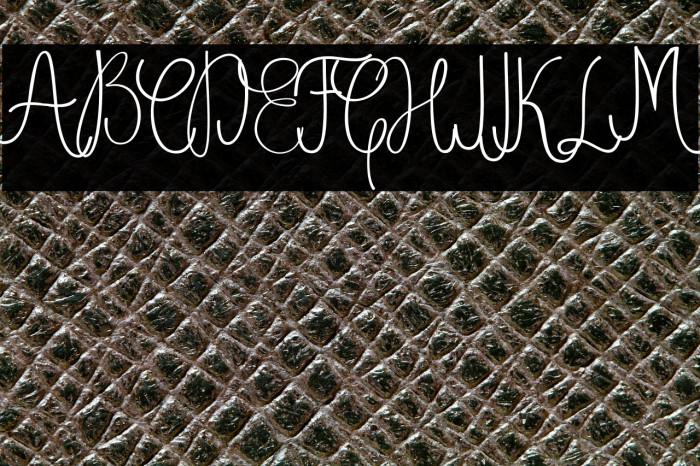 DughterFree Example 2