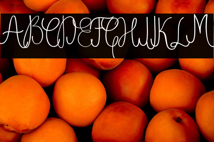 DughterFree Example 3