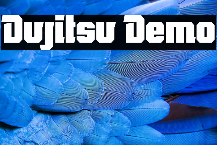 Dujitsu Demo Example 3