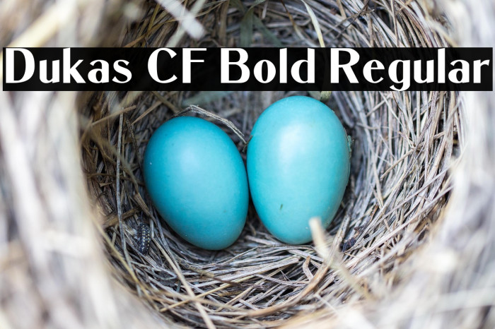Dukas CF Bold Regular Example 1