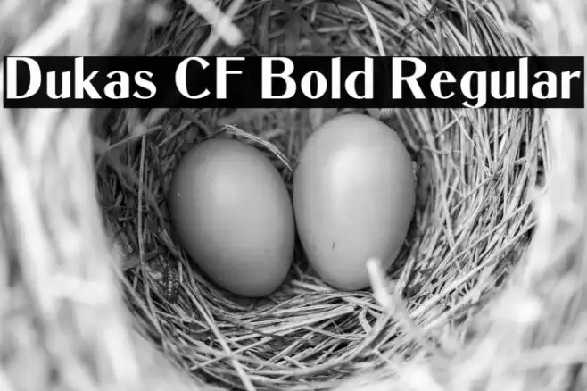 Dukas CF Bold Regular Font examples