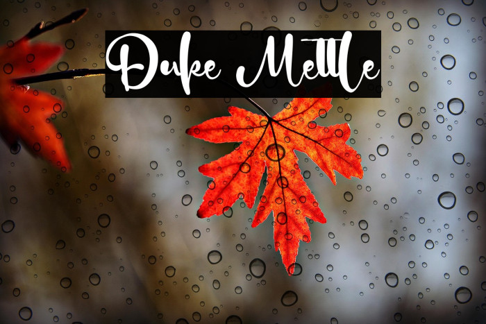 Duke Mettle Example 1