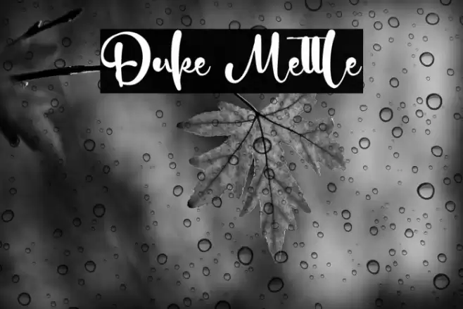 Duke Mettle Font examples