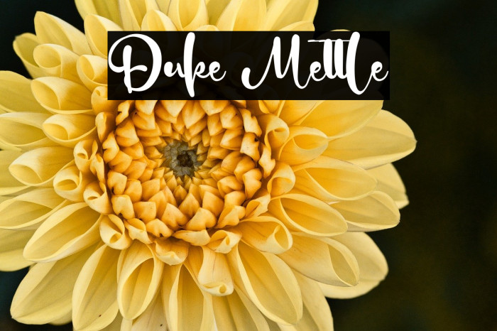 Duke Mettle Example 2