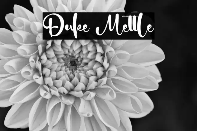 Duke Mettle Font examples