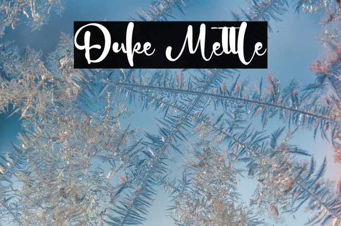 Duke Mettle Example 3