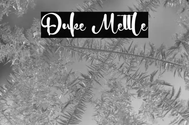 Duke Mettle Font examples