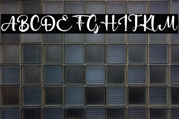 DukeMettle Example 1