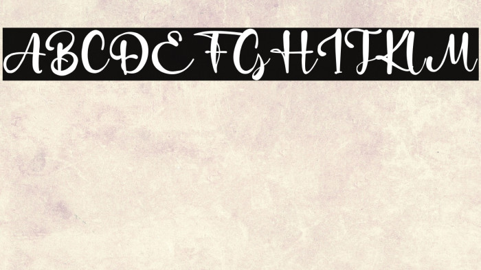 DukeMettle Example 3