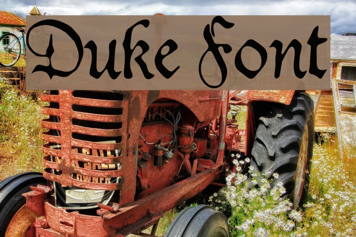 Duke Font examples