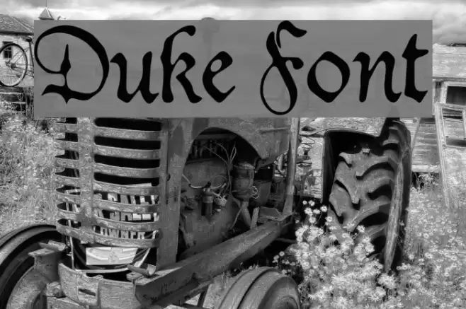Duke Font examples