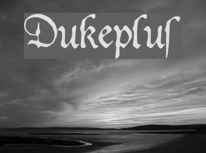 Dukeplus Example 1