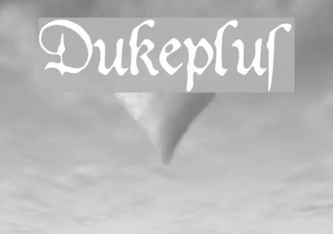 Dukeplus Example 3