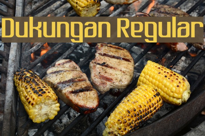 Dukungan Regular Font examples