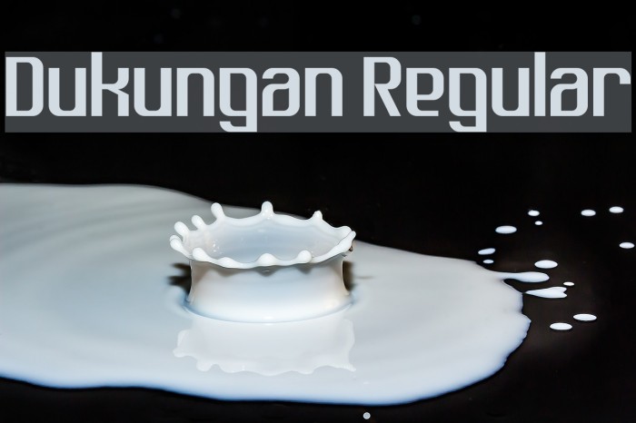 Dukungan Regular Font examples
