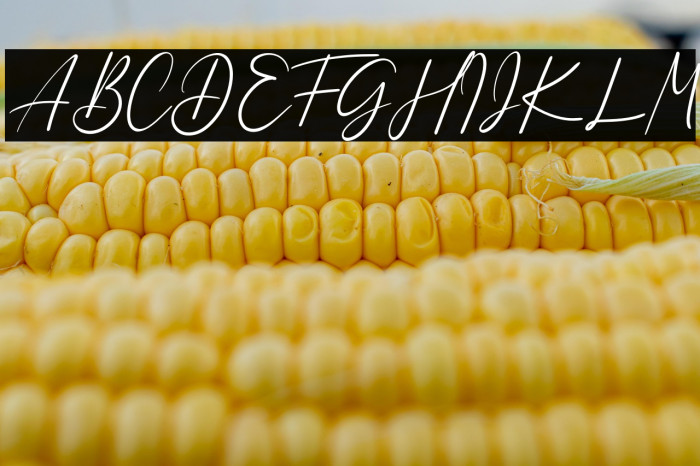 Dulan Anzelica Example 1