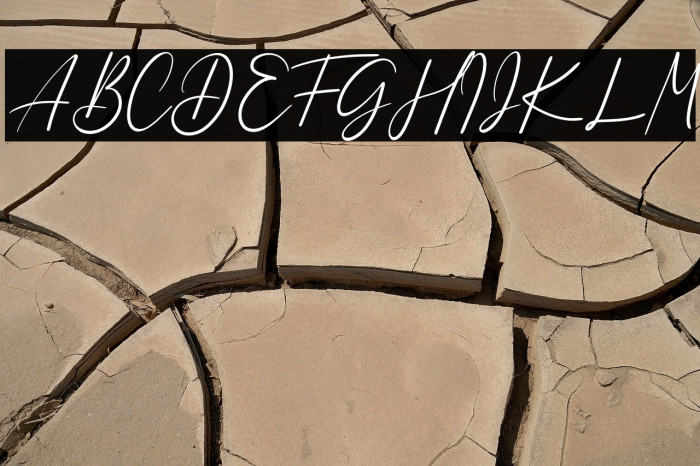 Dulan Anzelica Example 2