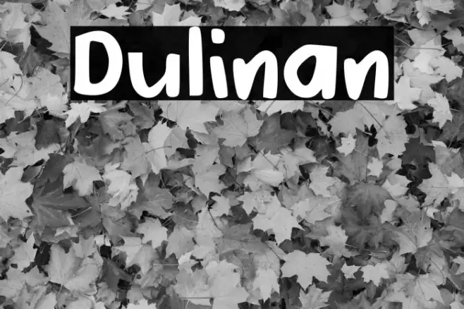 Dulinan Example 3