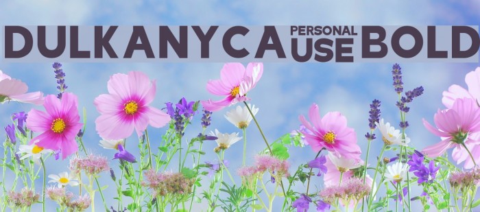 Dulkanyca Bold Example 3