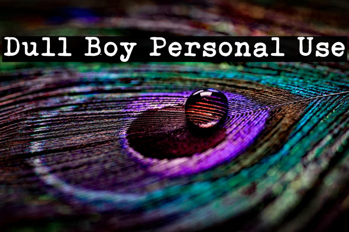 Dull Boy Personal Use Example 1