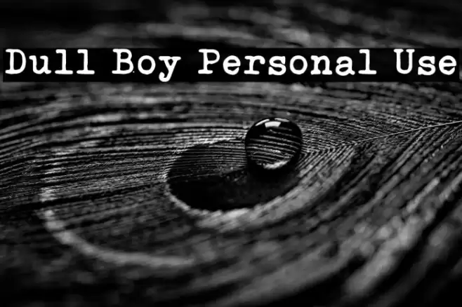 Dull Boy Personal Use Font examples