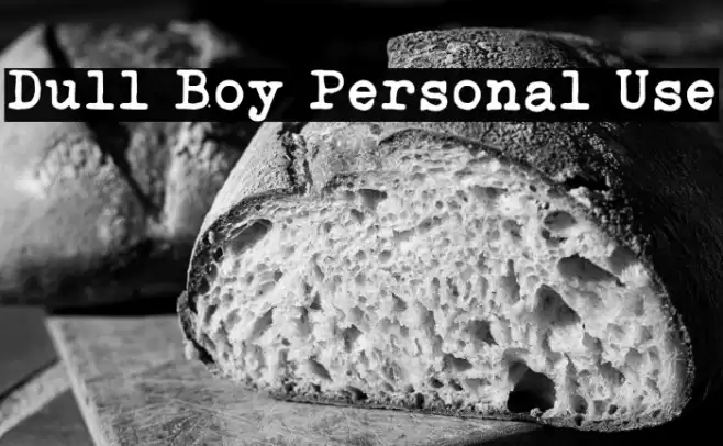 Dull Boy Personal Use Font examples