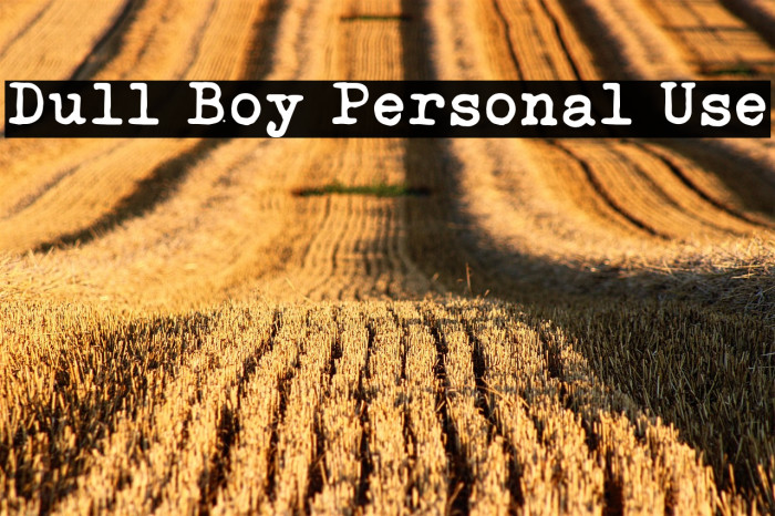 Dull Boy Personal Use Example 3