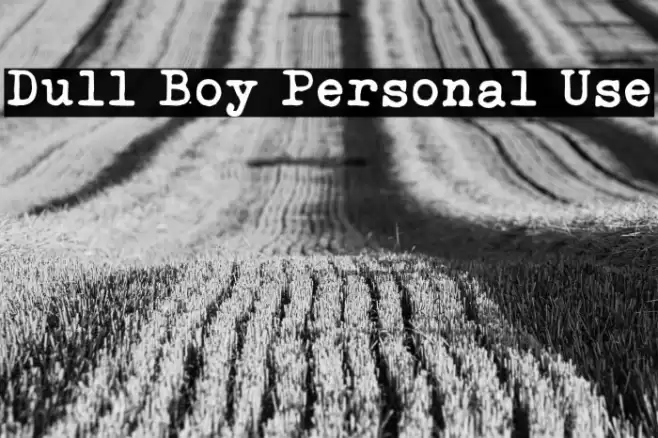 Dull Boy Personal Use Font examples