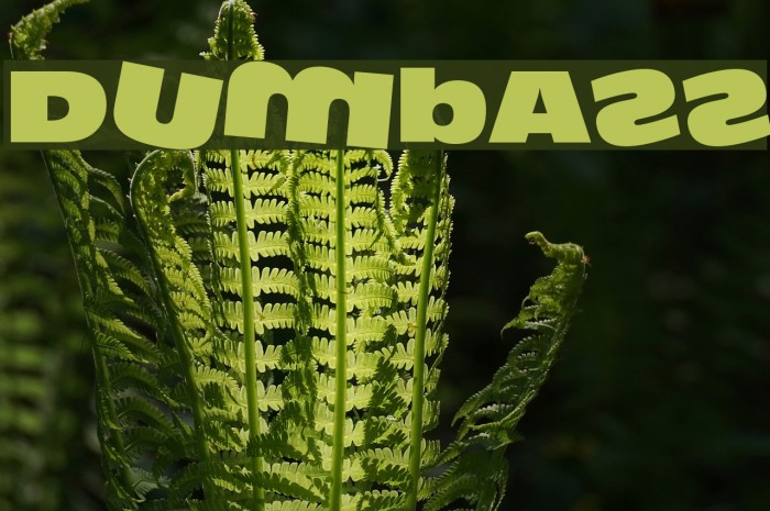 DumbAss Font examples