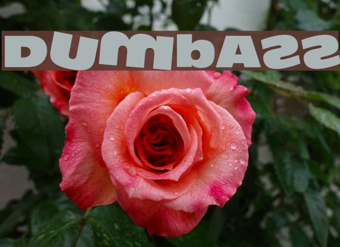 DumbAss Font examples