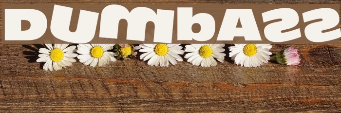 DumbAss Font examples