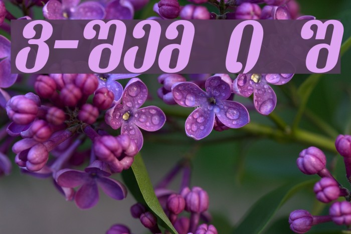 Dumbadze-ITV Bold Italic Example 3