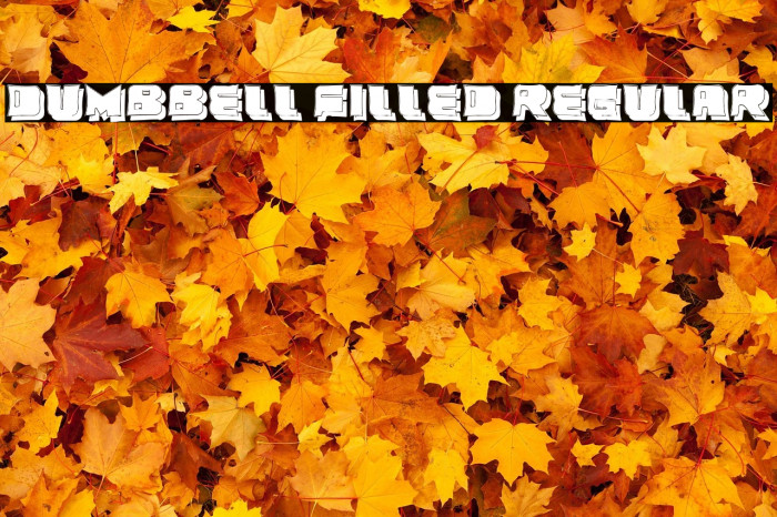 Dumbbell Filled Regular Example 1