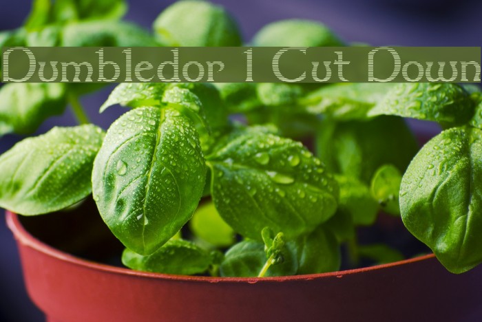 Dumbledor 1 Cut Down Font examples