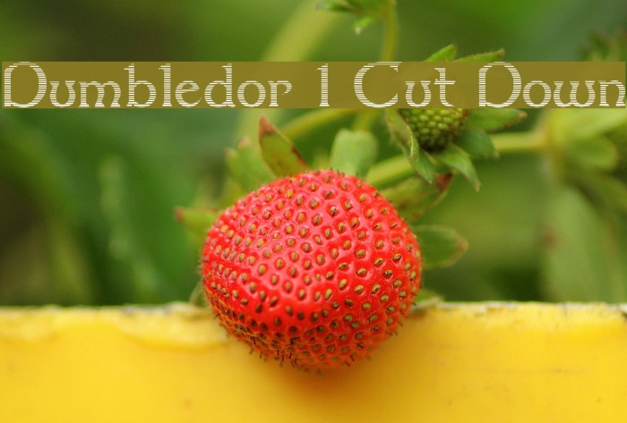 Dumbledor 1 Cut Down Font examples