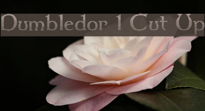 Dumbledor 1 Cut Up Font examples