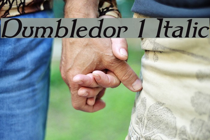 Dumbledor 1 Italic Fuentes examples