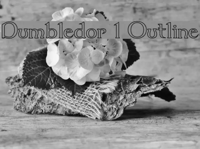 Dumbledor 1 Outline Example 3