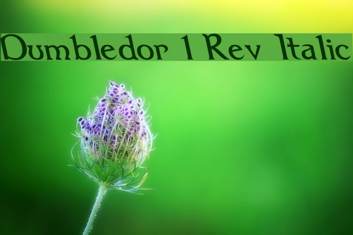 Dumbledor 1 Rev Italic Font examples